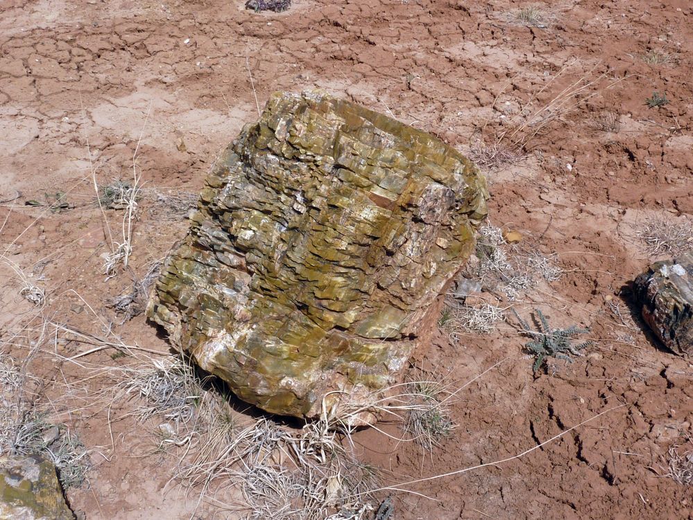 Escalante state park (27).JPG